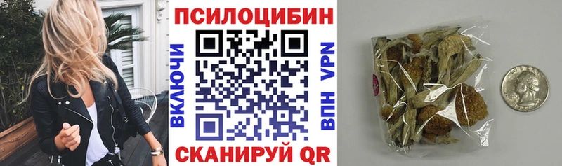 наркотики  Нестеров  Псилоцибиновые грибы мицелий 